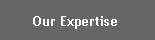 Text Box: Our Expertise